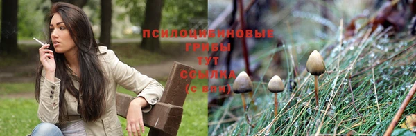 mdma Медвежьегорск