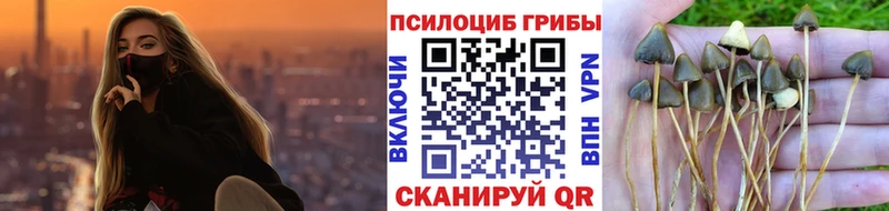 наркота  Заозёрный  Псилоцибиновые грибы мицелий 