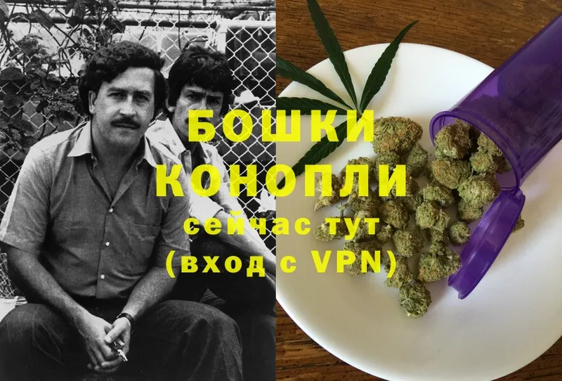 купить   Заозёрный  Бошки Шишки SATIVA & INDICA 